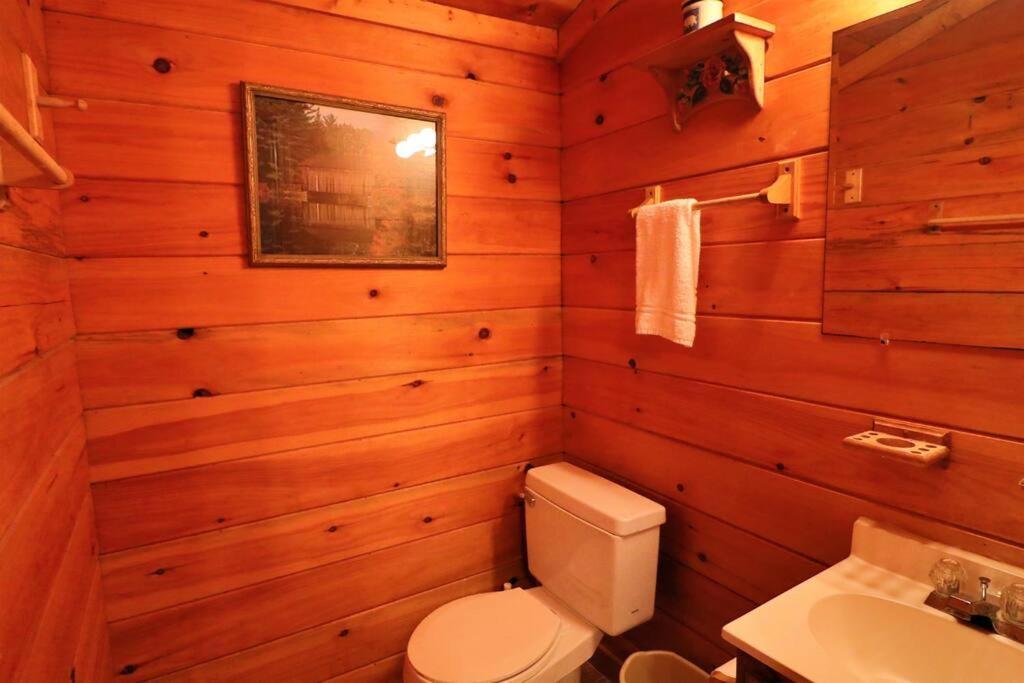 Mountain Cabin 2B Jacuzzi #10 Helen Bagian luar foto