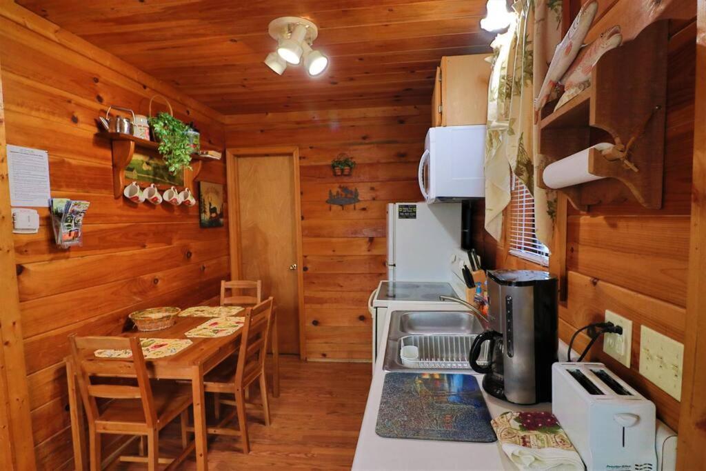 Mountain Cabin 2B Jacuzzi #10 Helen Bagian luar foto