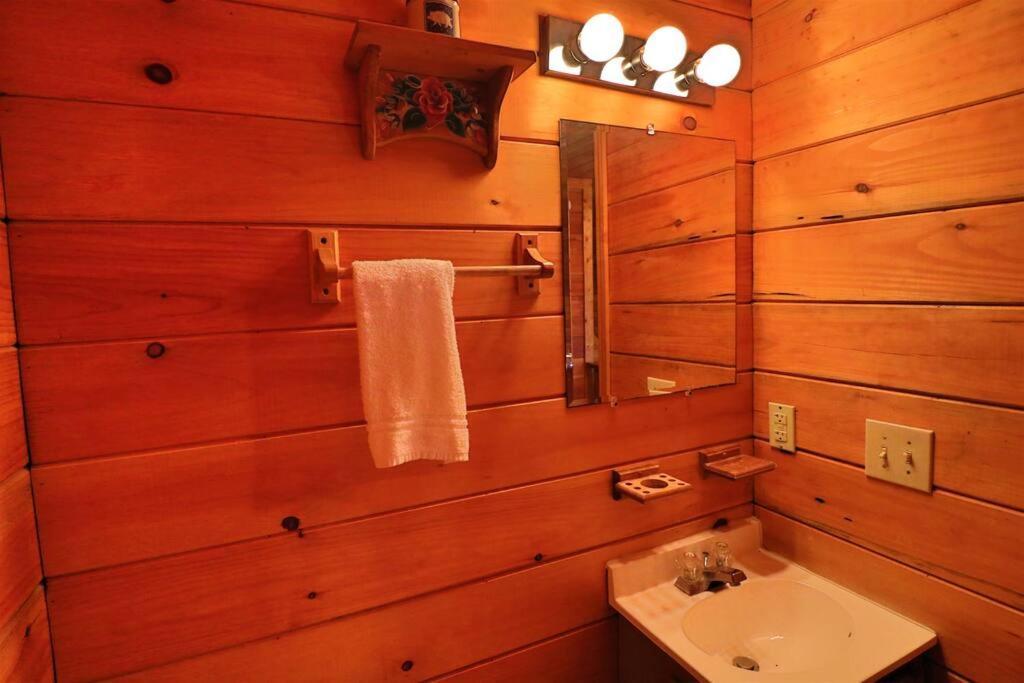 Mountain Cabin 2B Jacuzzi #10 Helen Bagian luar foto